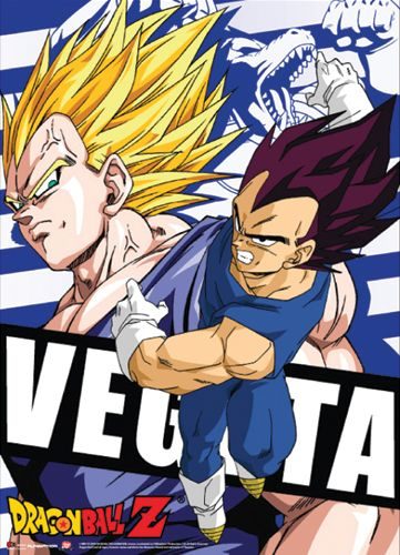 Dragon Ball Z Vegeta Wallscroll