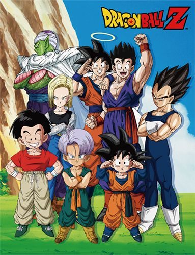 Dragon Ball Z - Group In Lawn Sublimation Throw Blanket