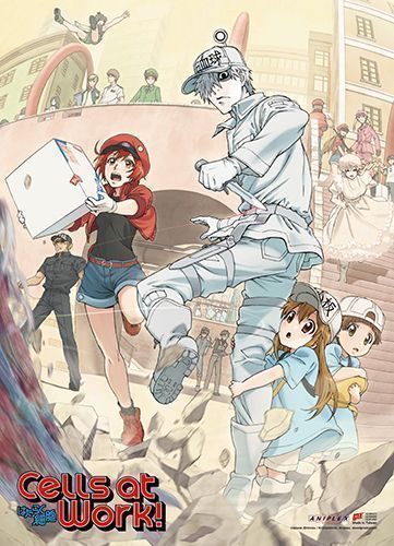 Cells At Work | Key Art | Wall Scroll
