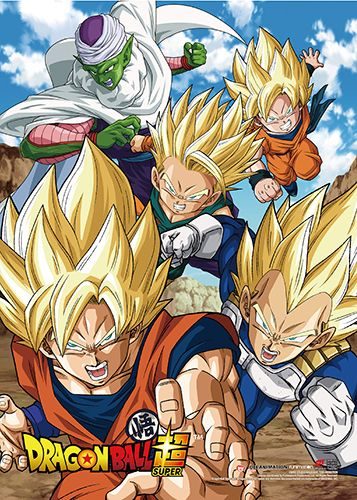 Dragon Ball Super - Battle Of Gods Group 02 Wall Scroll