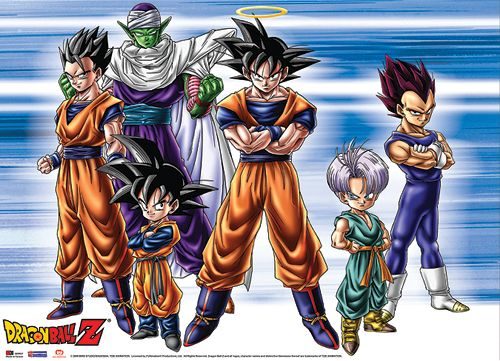 Dragon Ball Z Group Fabric Poster