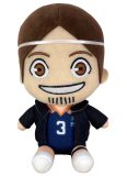 Haikyu | Asahi Azumane - Team Uniform | 7″ Sitting Plush picture 1