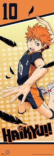 Haikyu!! - Shoyo Human Size Special Edition Wall Scroll