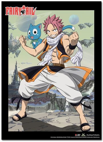 Fairy Tail - Season 3 Group 1 Wallscroll