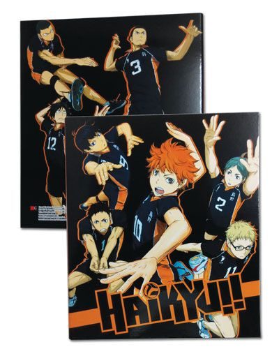 Haikyu!! - Team Binder