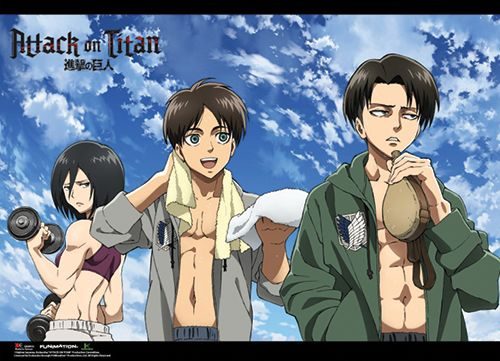 Attack On Titan - Fitness Group Wallscroll