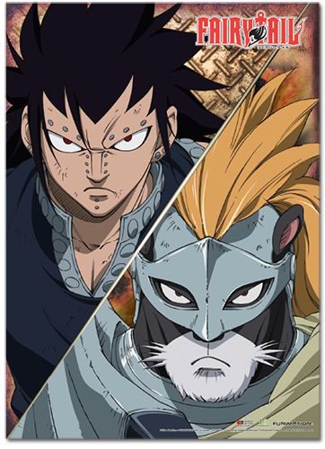 Fairy Tail - Season 3 Lily Wallscroll